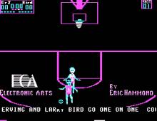 One on One (Irving vs. Bird)