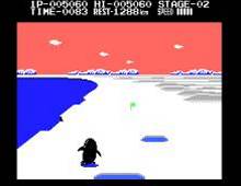 Antarctic Adventure