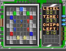 Chip