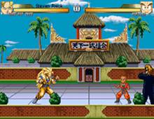 Dragonball Z Millennium