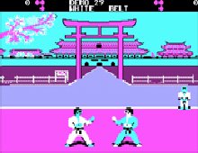 International Karate