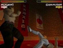 Karate Fighter