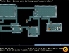 NetHack