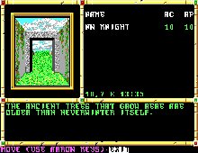 Neverwinter Nights