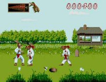 Ninja Rabbits