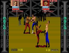 Pit-Fighter