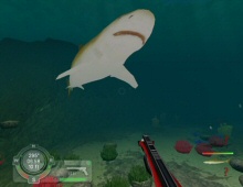 Shark! Hunting the Great White