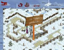 SnowMotion