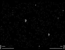 SpaceWar