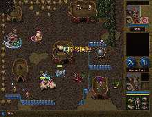 War Wind